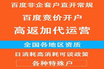 百度移动推广实战：案例分享移动营销策略